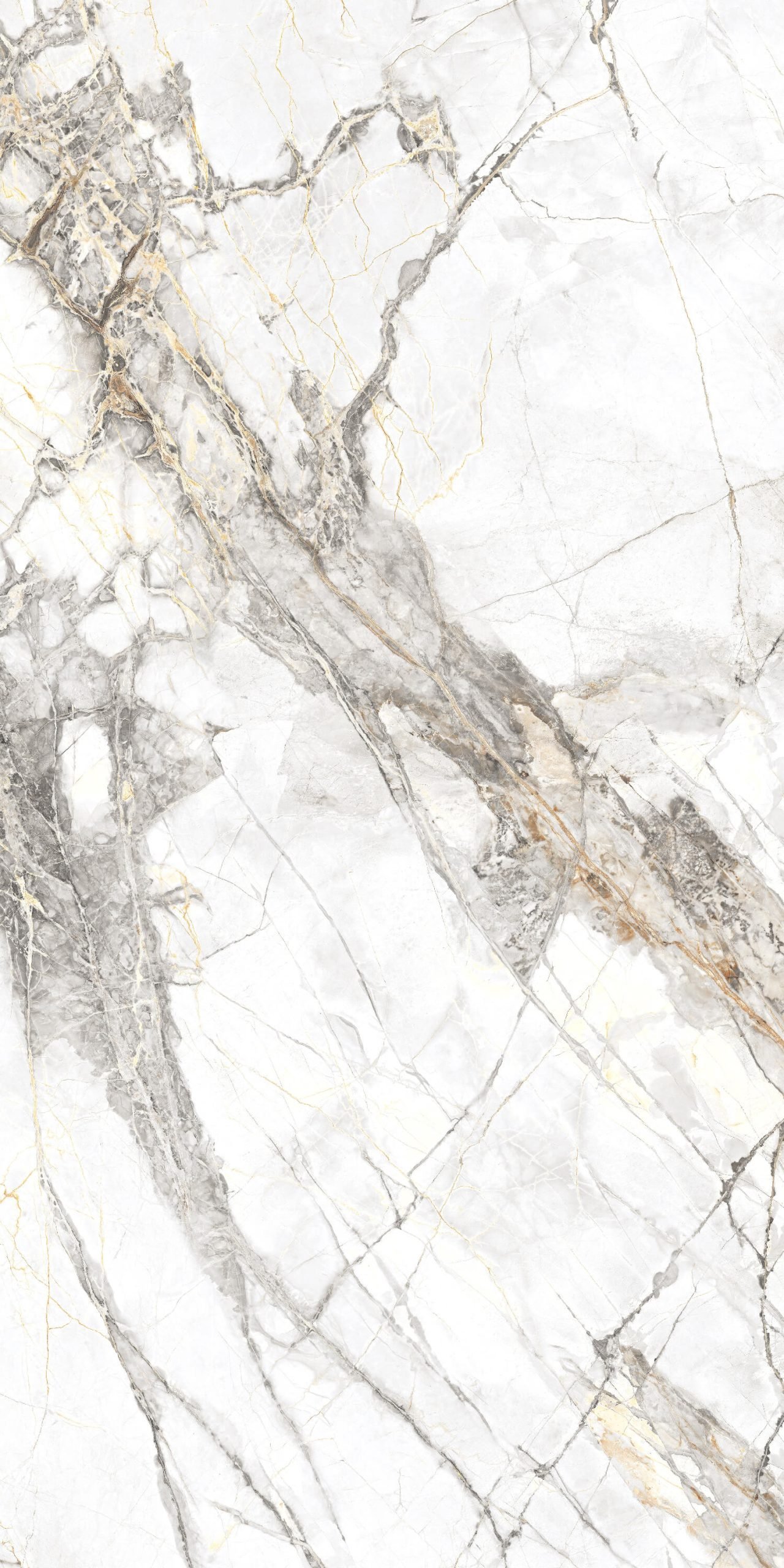 Belgium Natural 600x1200mm Polished Porcelain Wall & Floor Tile - Image 5