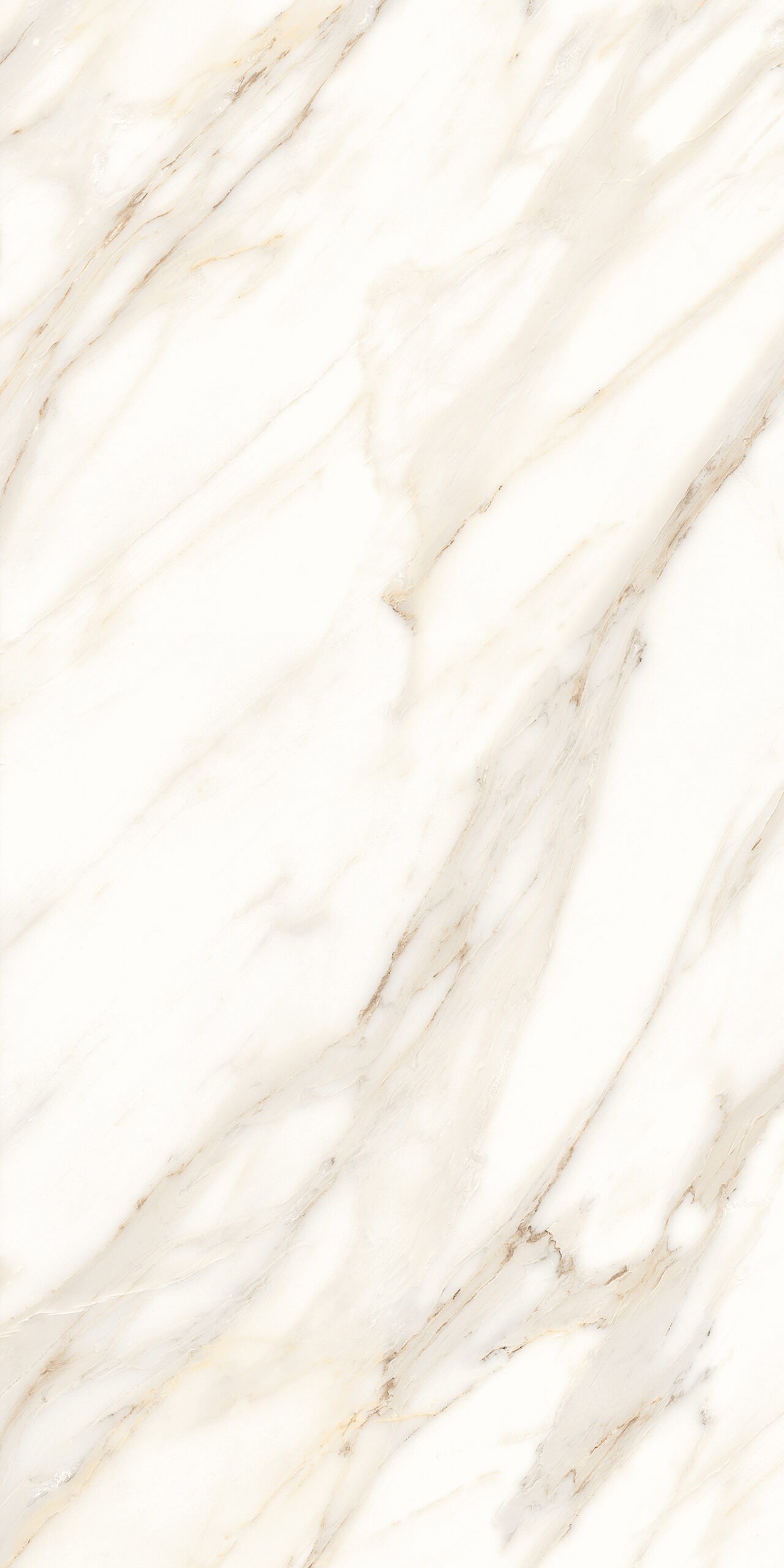 Roca White 600x1200mm Polished Porcelain Wall & Floor Tile - Image 3