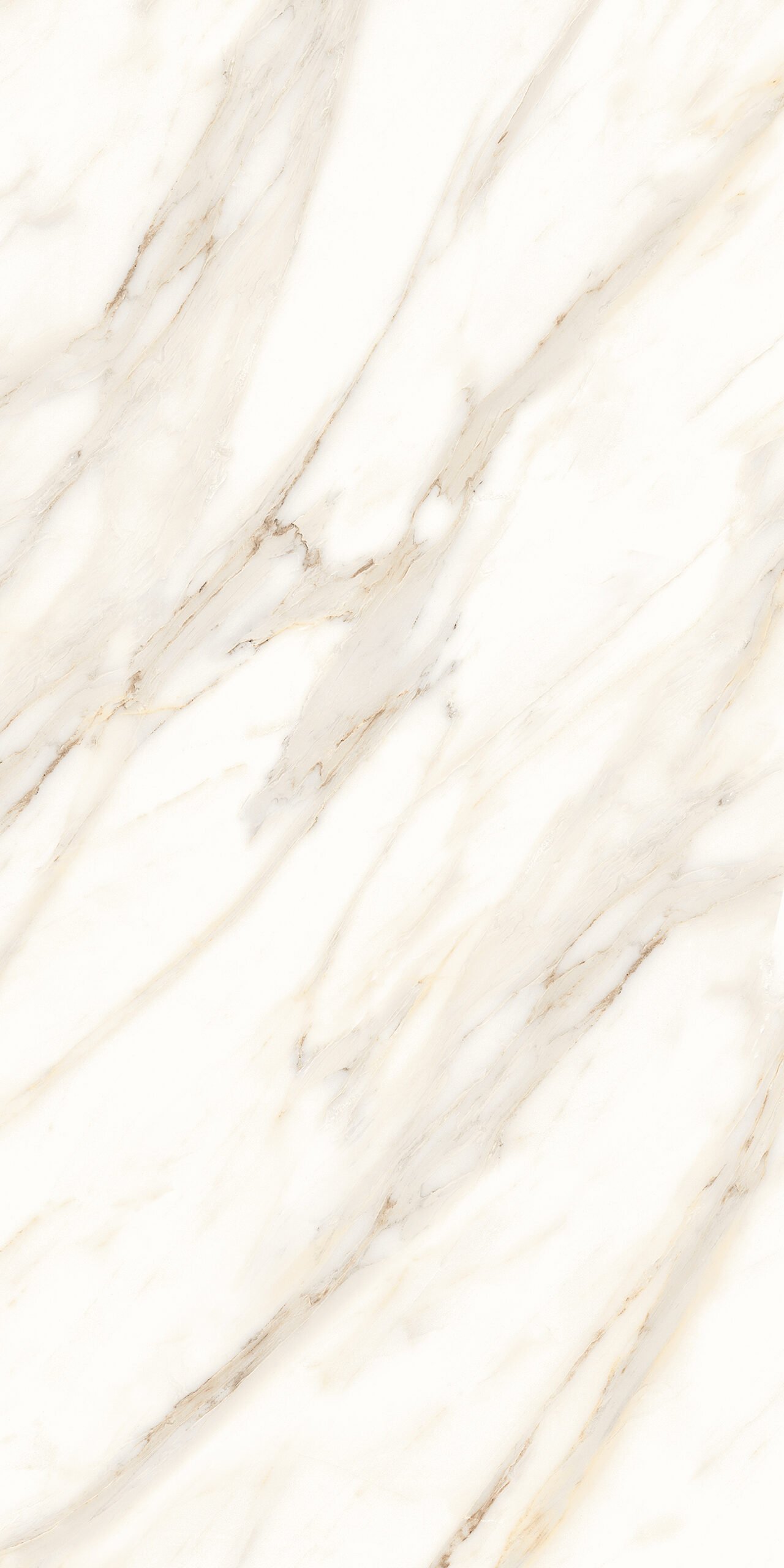 Roca White 600x1200mm Polished Porcelain Wall & Floor Tile - Image 4