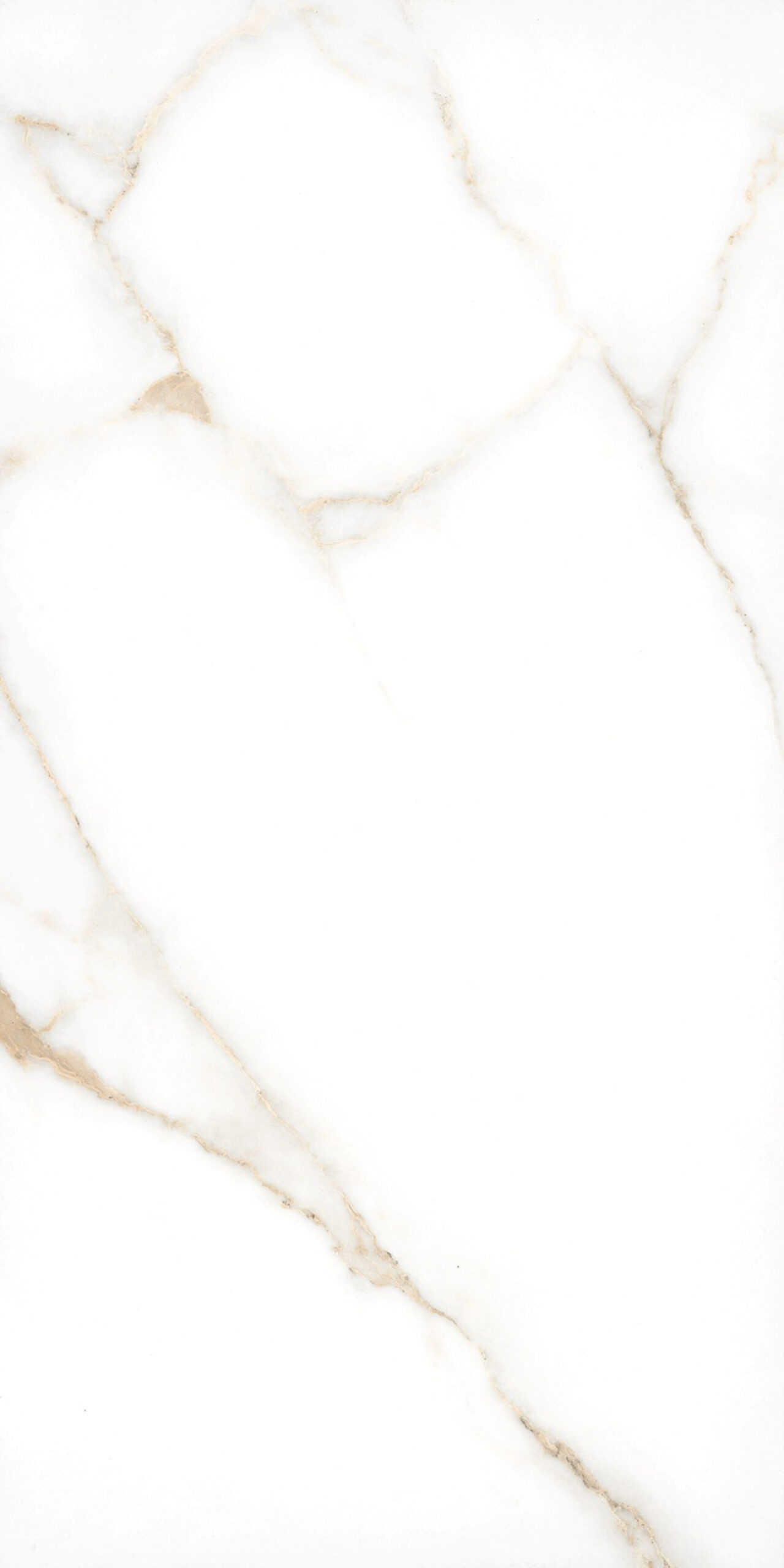 Armani Oro 600x1200mm Polished Porcelain Wall & Floor Tile - Image 3